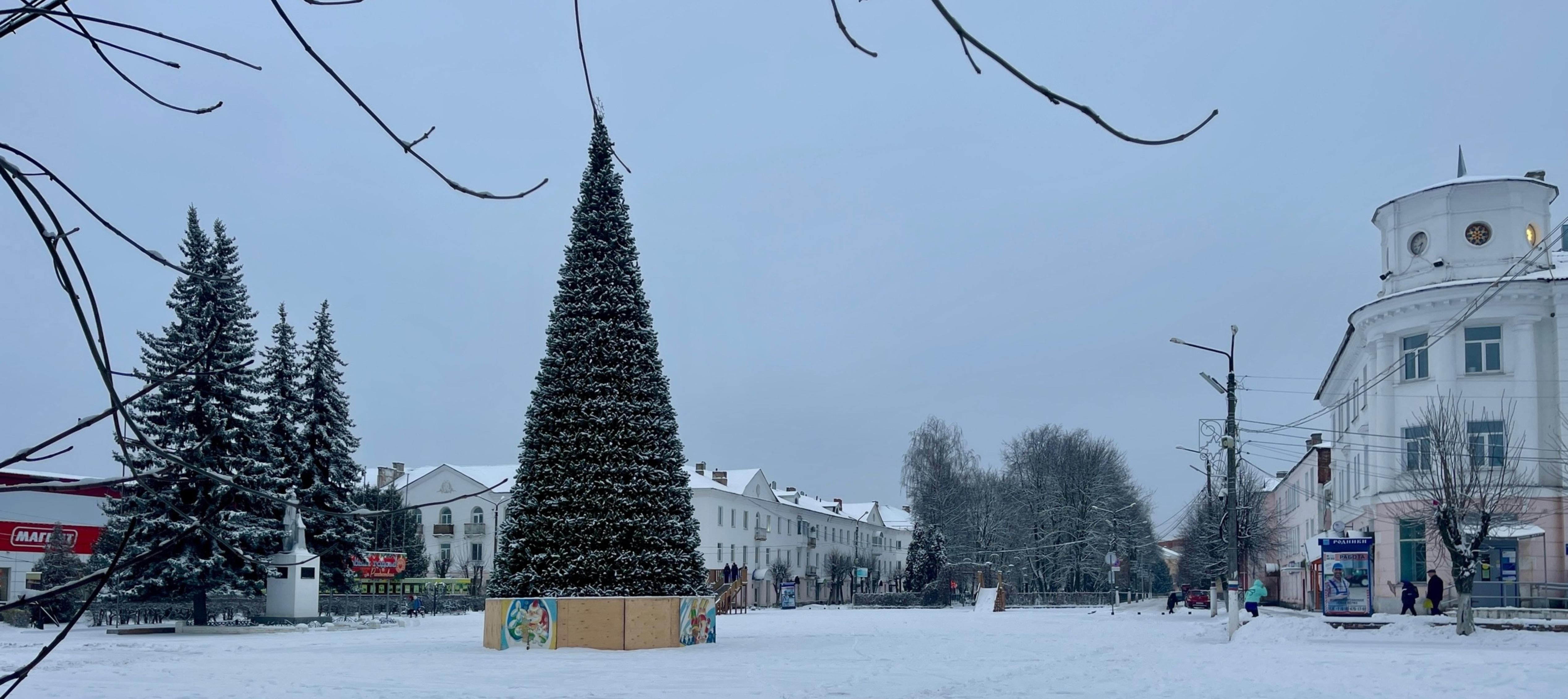 Главная городская красавица-ель установлена.