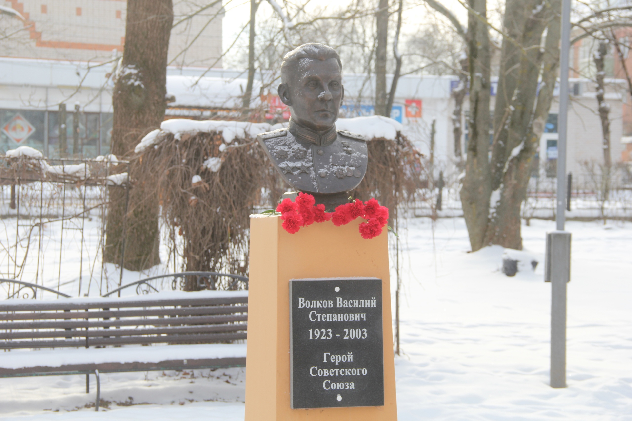 20 февраля исполнилось 102 года со дня рождения нашего земляка, Героя Советского Союза, Василия Степановича Волкова.